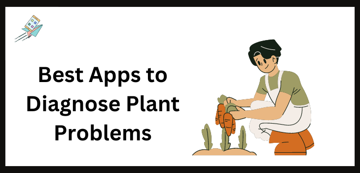 Best Apps to Diagnose Plant Problems